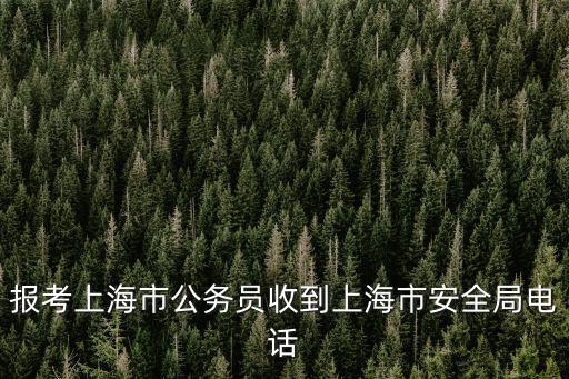 報考上海市公務(wù)員收到上海市安全局電話