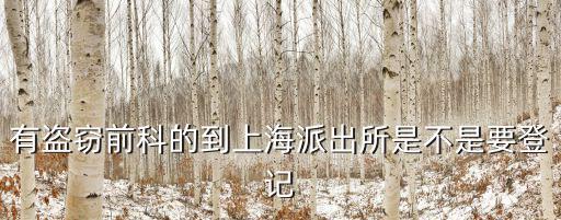 有盜竊前科的到上海派出所是不是要登記
