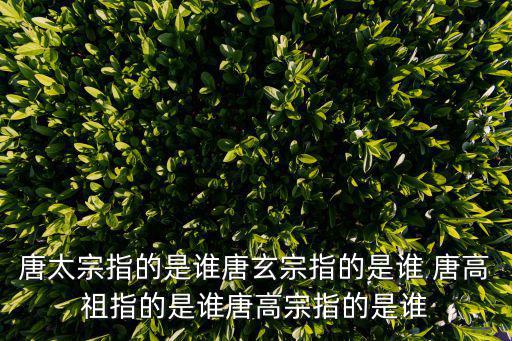 唐高祖是誰,劉邦、魏高祖、唐高祖等六朝高祖廟宇名稱
