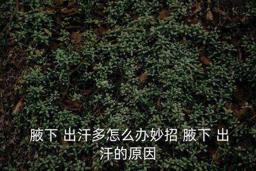  腋下 出汗多怎么辦妙招 腋下 出汗的原因