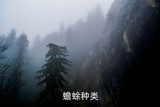 海蟾蜍,海蟾蜍和中華大學蟾蜍生長環境不同