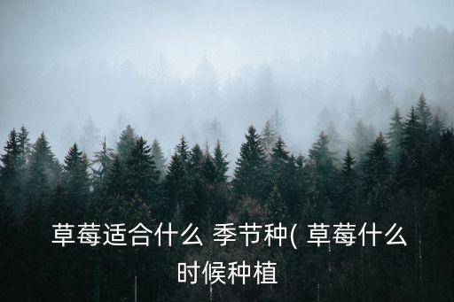  草莓適合什么 季節(jié)種( 草莓什么時候種植