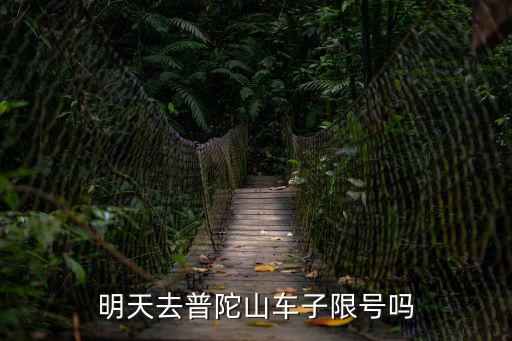 明天去普陀山車子限號嗎