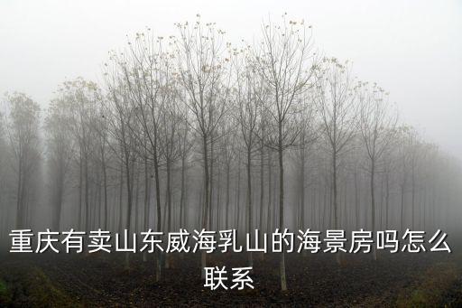 重慶有賣山東威海乳山的海景房嗎怎么聯系