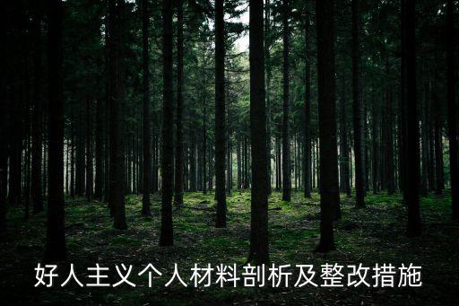 好人主義個人材料剖析及整改措施