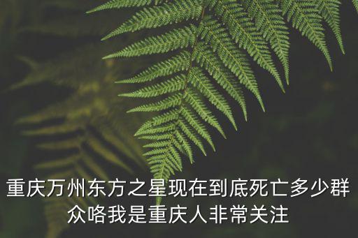 重慶市足球聯(lián)賽傷人事件，重慶南濱路2018年11月5日有打架事件嗎