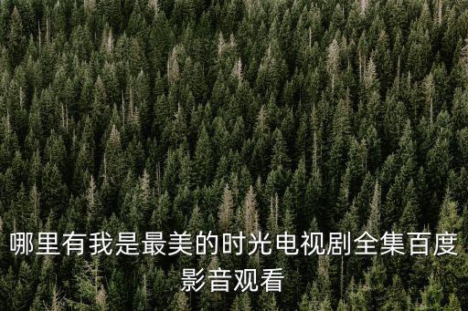 我叫劉傳說電視劇全集，哪里有我是最美的時光電視劇全集百度影音觀看