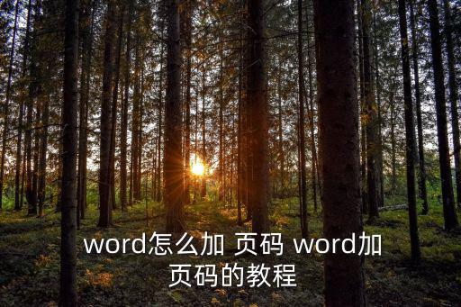  word怎么加 頁碼 word加 頁碼的教程
