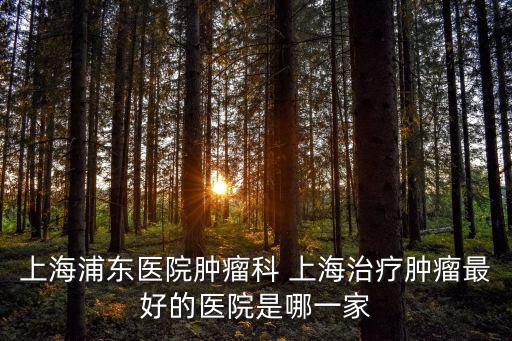 上海浦東醫院腫瘤科 上海治療腫瘤最好的醫院是哪一家