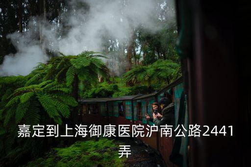 嘉定到上海御康醫院滬南公路2441弄