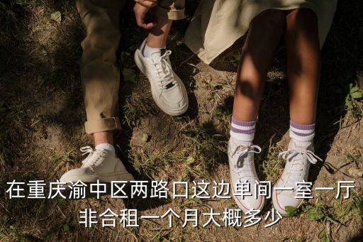 在重慶渝中區兩路口這邊單間一室一廳非合租一個月大概多少