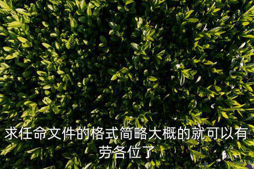 任免通知文件，公司董事監(jiān)事經(jīng)理的任免文件指什么