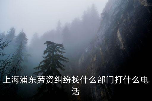 上海浦東勞資糾紛找什么部門打什么電話