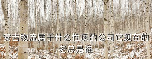 重慶市安吉物流是做什么的，圈里有安吉物流曹陽路公司做的嗎
