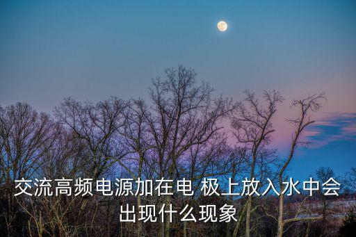 極上泡姬,紅參放入容器中倒入純凈純凈水解凍浸泡48小時