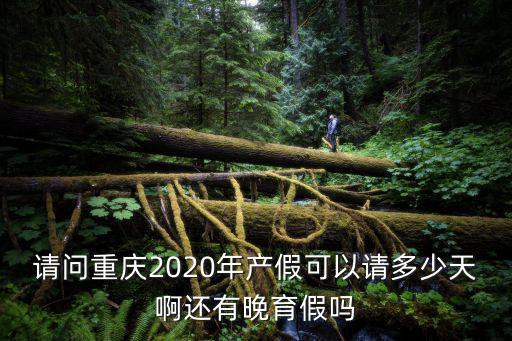 請問重慶2020年產假可以請多少天啊還有晚育假嗎