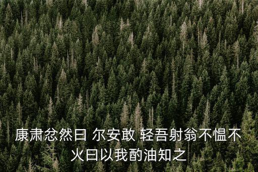 爾安敢輕吾射,你竟敢輕視我的箭術(shù)康樂(lè)聽(tīng)后氣憤地說(shuō):為什么