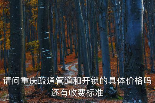 請問重慶疏通管道和開鎖的具體價格嗎還有收費標準