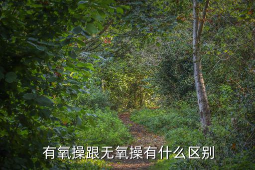 有氧運動操,有氧健身操鍛煉全身/12344