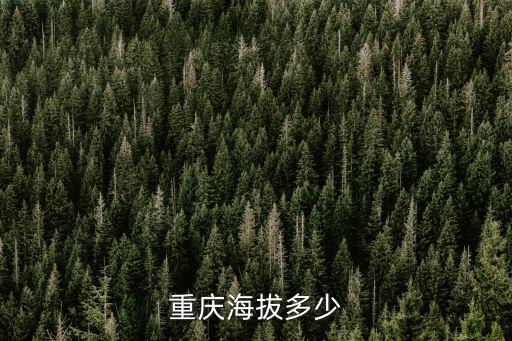 重慶海拔多少