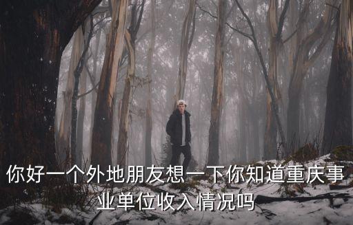 重慶市委宣傳部對(duì)外新聞處，你好一個(gè)外地朋友想一下你知道重慶事業(yè)單位收入情況嗎