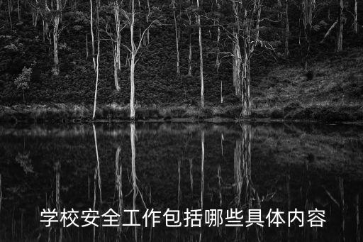 學(xué)校安全,建立學(xué)校安全工作保障體系全面落實(shí)兩制