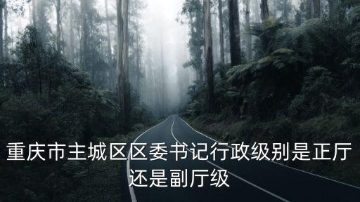 重慶市主城區區委書記行政級別是正廳還是副廳級