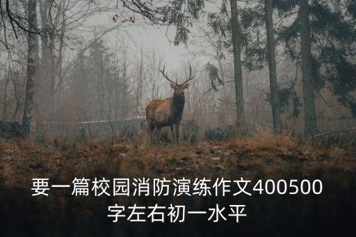 要一篇校園消防演練作文400500字左右初一水平