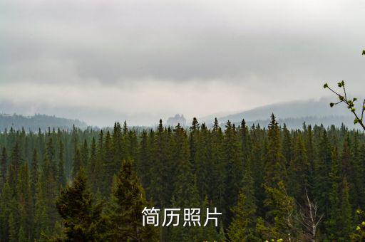 簡歷照片
