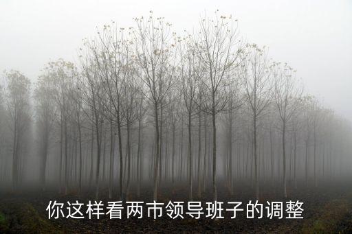 你這樣看兩市領導班子的調整