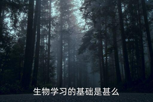 生物學習的基礎是甚么