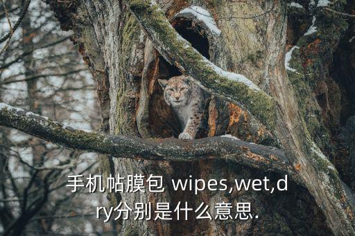 wipes,第三人稱(chēng)單數(shù):wipes
