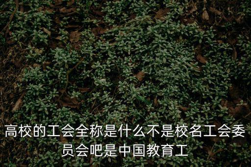 中國教育工會上海市委員會會員B，高校的工會全稱是什么不是校名工會委員會吧是中國教育工