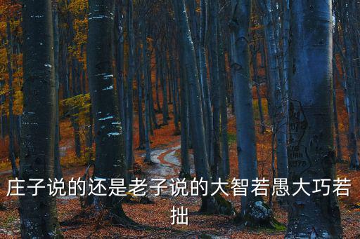 莊子說的還是老子說的大智若愚大巧若拙