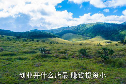 創(chuàng)業(yè)開什么店最 賺錢投資小