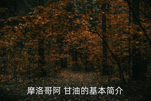 阿甘油,摩洛哥堅果油怎么用?