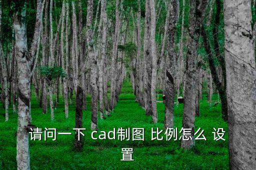 請問一下 cad制圖 比例怎么 設置