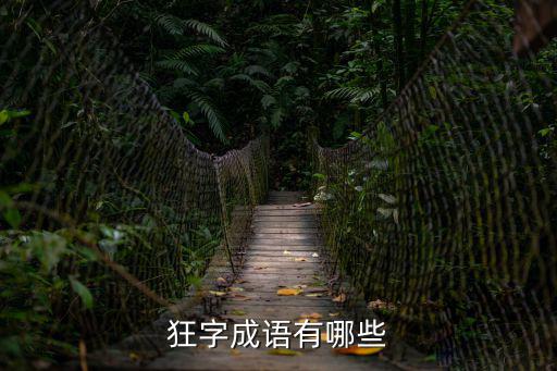 狂字成語有哪些