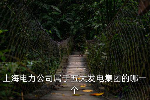 上海電力公司屬于五大發電集團的哪一個