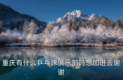 重慶市電訊乒乓球比賽，重慶市長壽區(qū)全民健身與奧運同行乒乓球邀請賽青少年組男子單打亞軍