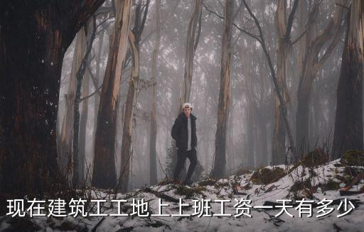 上海市建筑工地工資是多少錢，上海市建筑工人工資標準