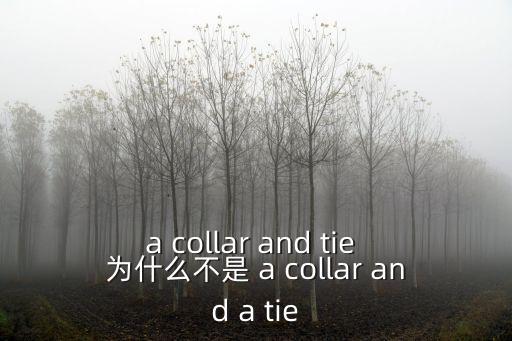 a collar and tie 為什么不是 a collar and a tie