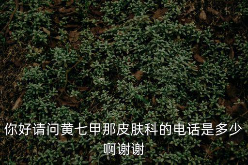 皮膚科醫生咨詢電話，你好請問黃七甲那皮膚科的電話是多少啊謝謝