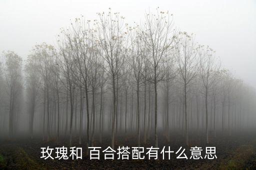 玫瑰百合,男子怎么說玫瑰的含義