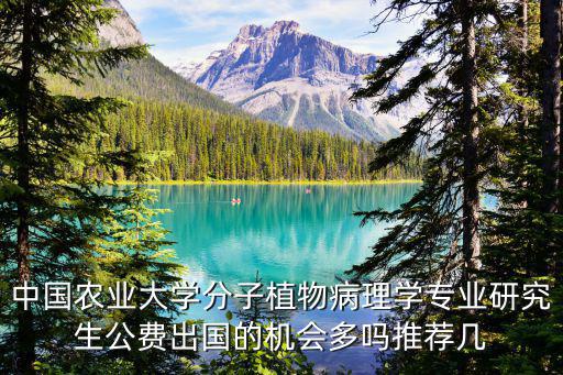 中國農業大學劉林，2013中國農業大學法學考研