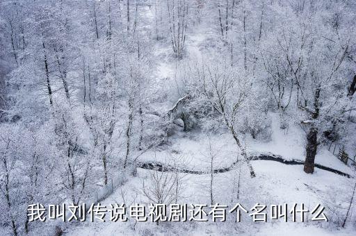 我叫劉傳說電視劇還有個名叫什么