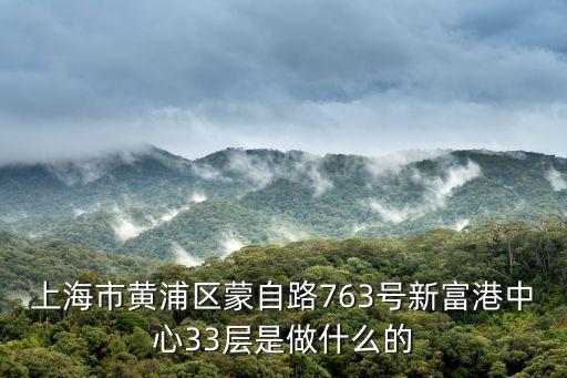 上海黃浦經偵，上海市黃浦分局有沒有一個叫高正的