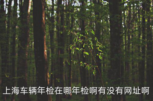 上海車輛年檢在哪年檢啊有沒有網址啊
