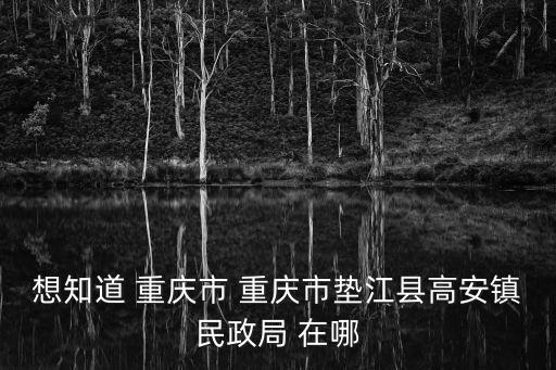 想知道 重慶市 重慶市墊江縣高安鎮民政局 在哪