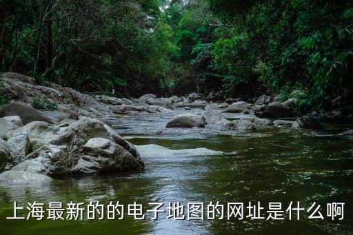 上海最新的的電子地圖的網址是什么啊